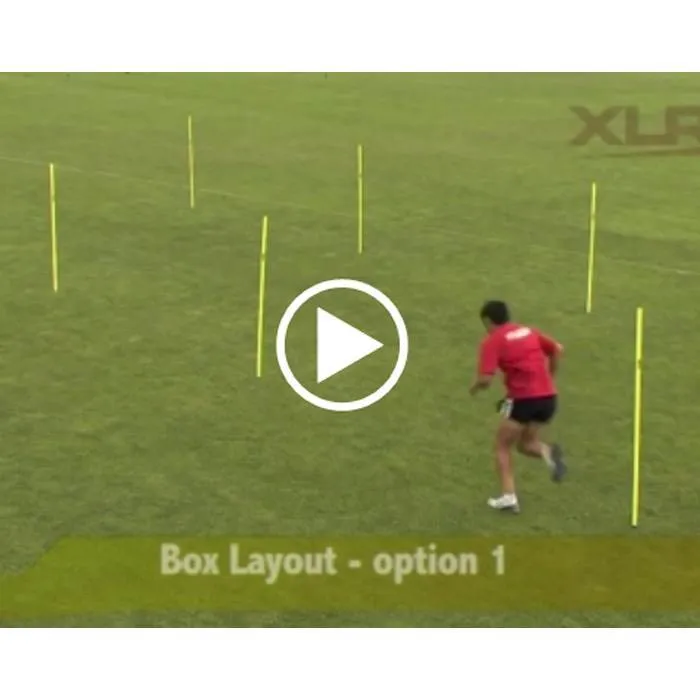 Agility Pole Drills Online Video