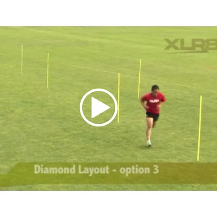 Agility Pole Drills Online Video