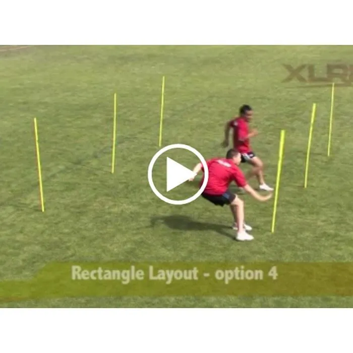 Agility Pole Drills Online Video