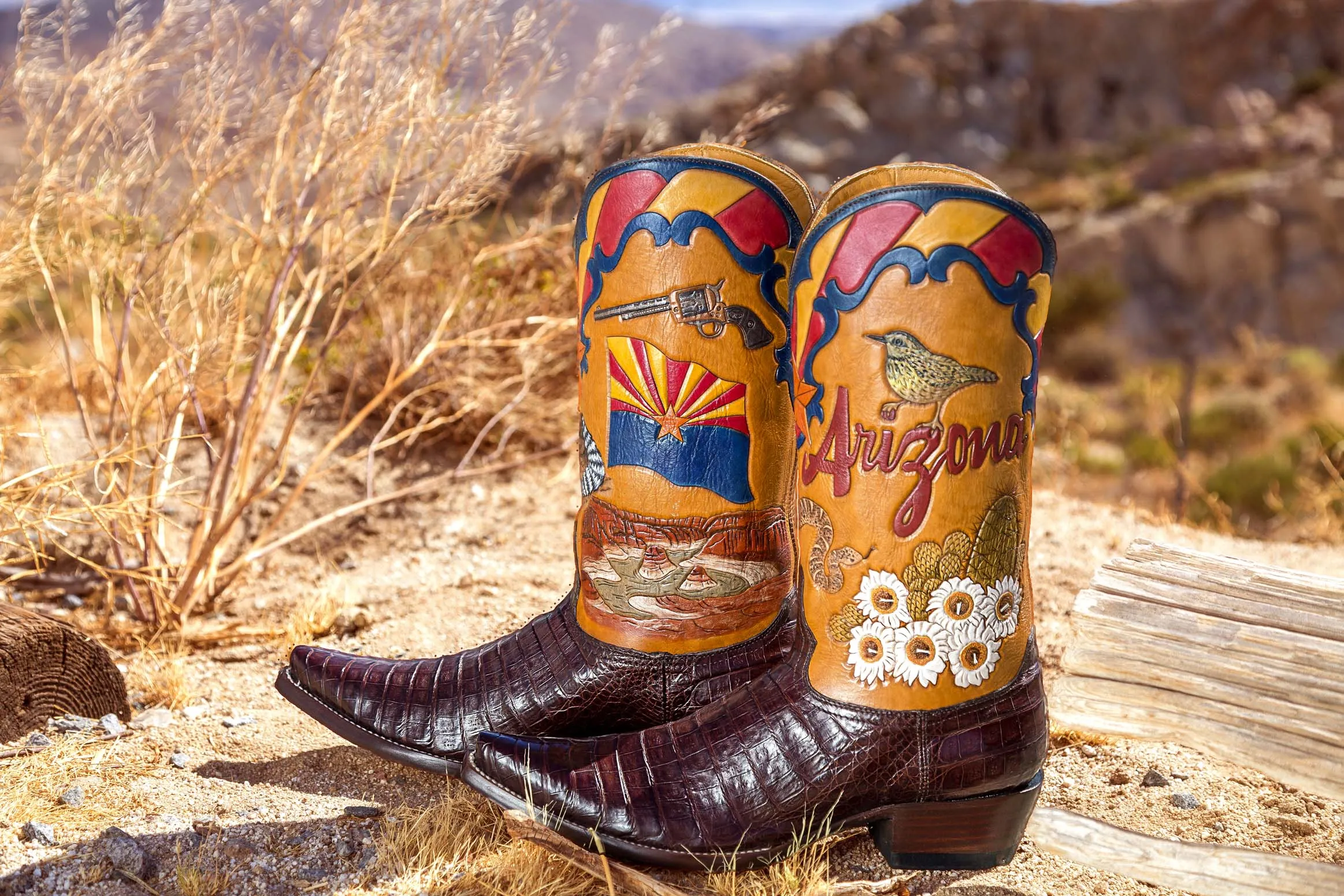 ARIZONA STATE