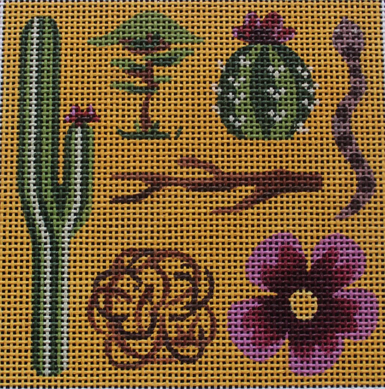 Desert Floor