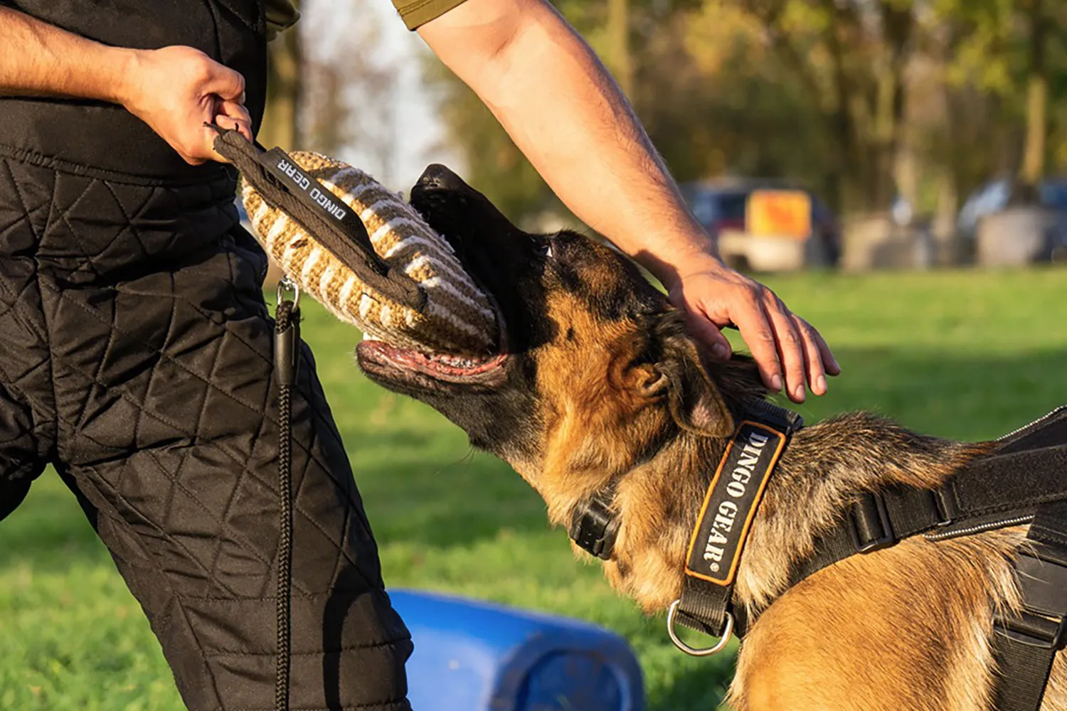 Dingo Gear Reinforced Bite Wedge