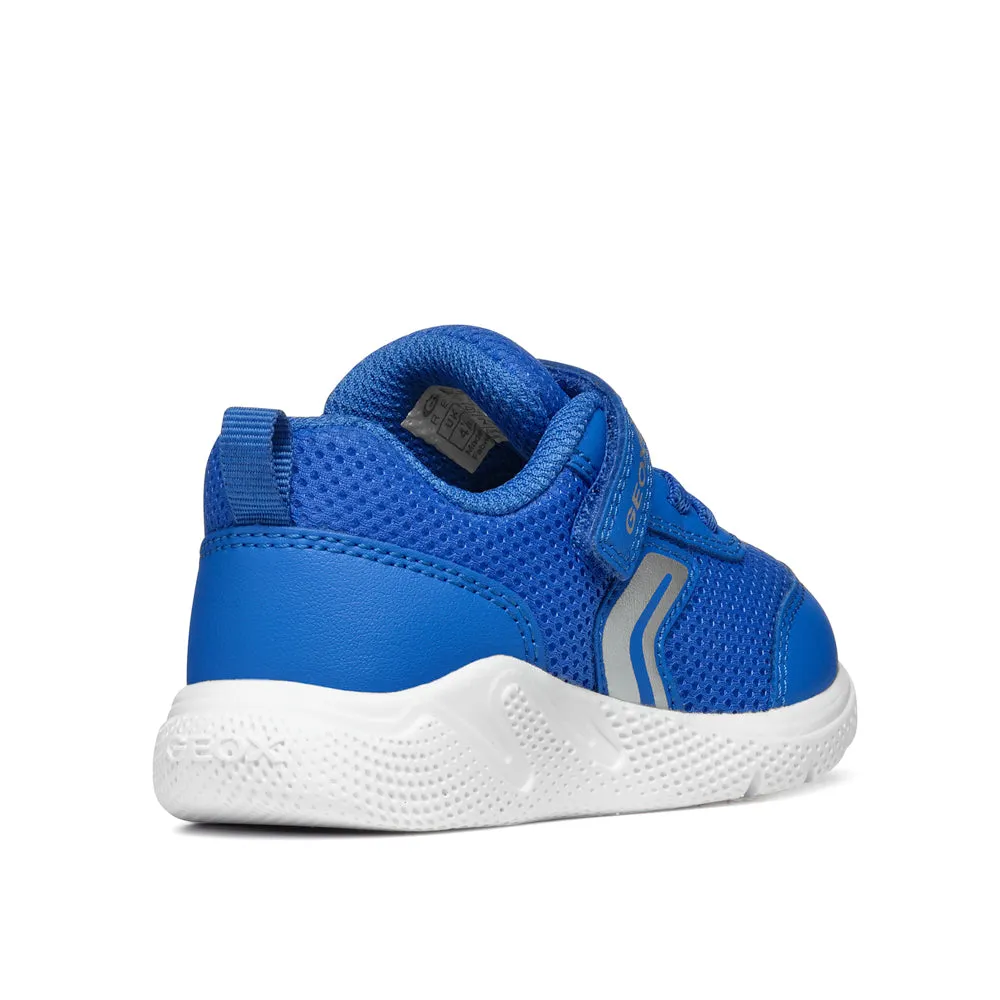 GEOX B Sprintye B. C - MESH GEOBUCK ROYAL
