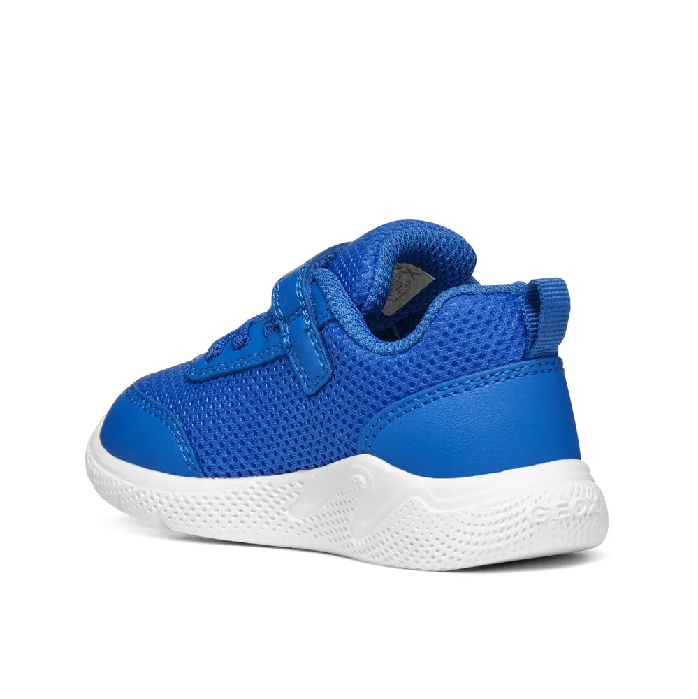 GEOX B Sprintye B. C - MESH GEOBUCK ROYAL