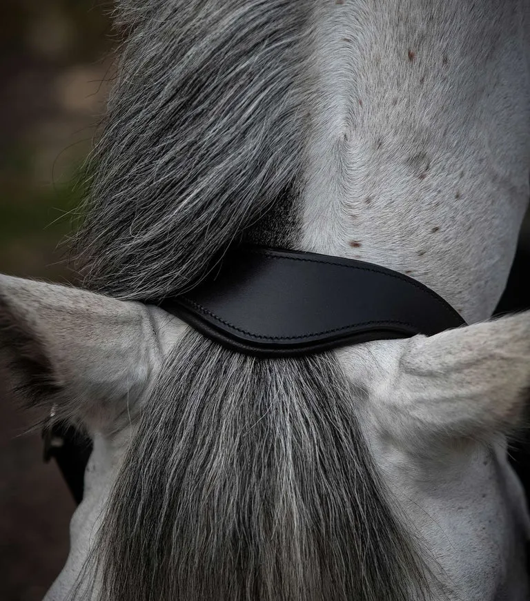 Hennaroso Rolled Anatomic Leather Head Collar (Black)