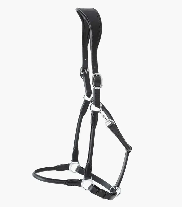 Hennaroso Rolled Anatomic Leather Head Collar (Black)