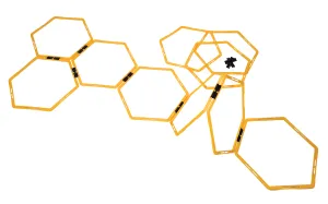 Hexagonal Agility Pack 10 Piece