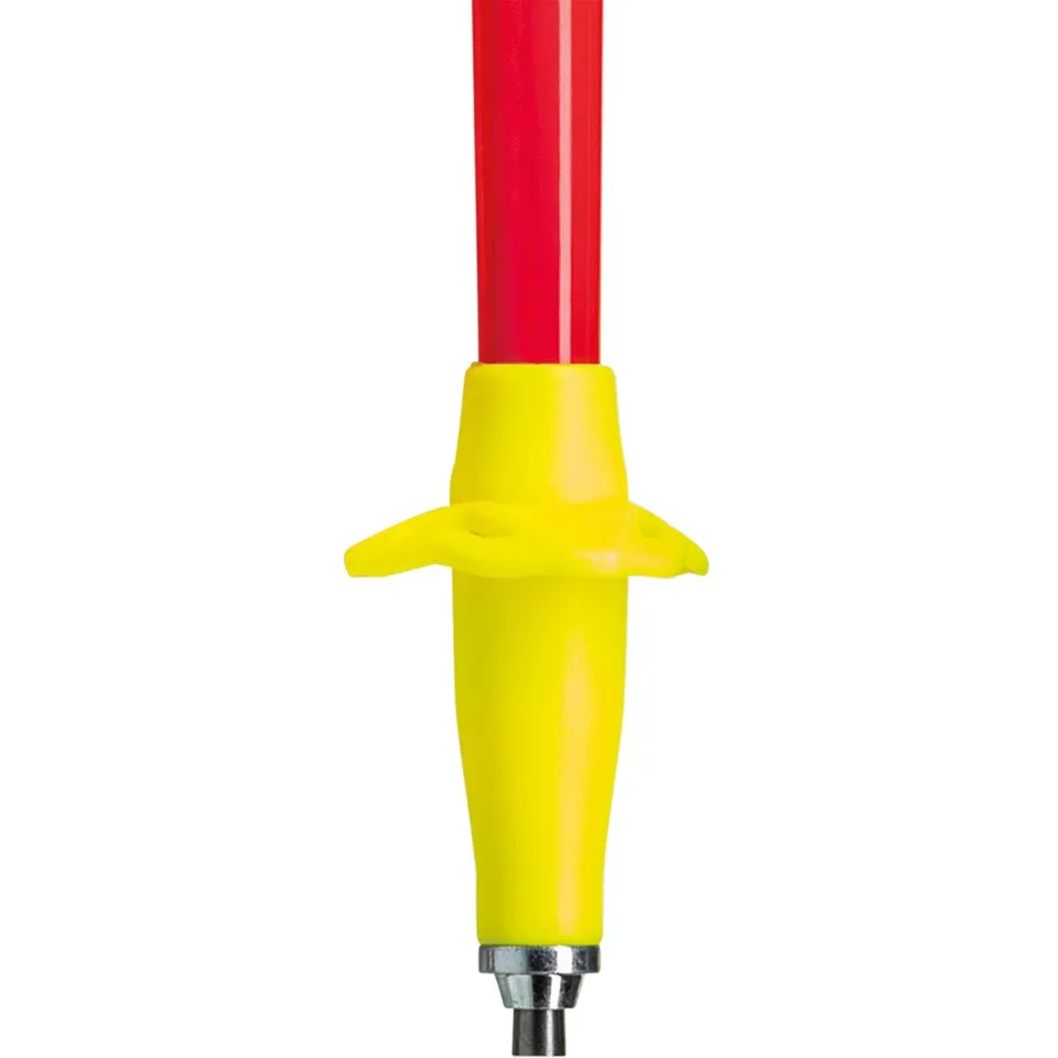Leki Ultratrail FX One Poles