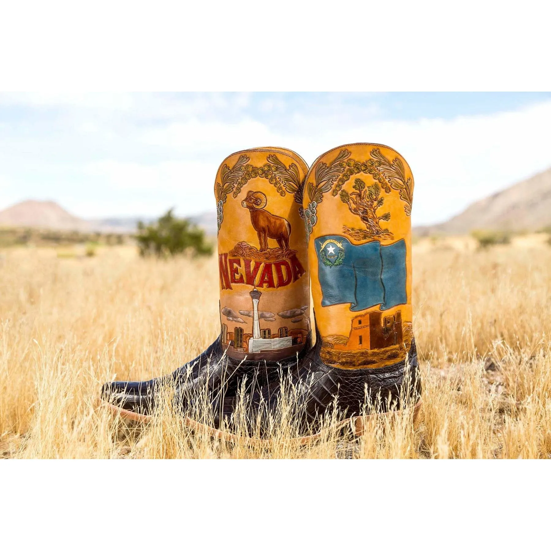 NEVADA STATE