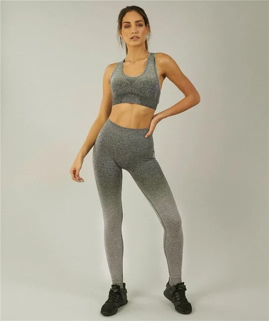Ombre Seamless Yoga Leggings Compression Tights