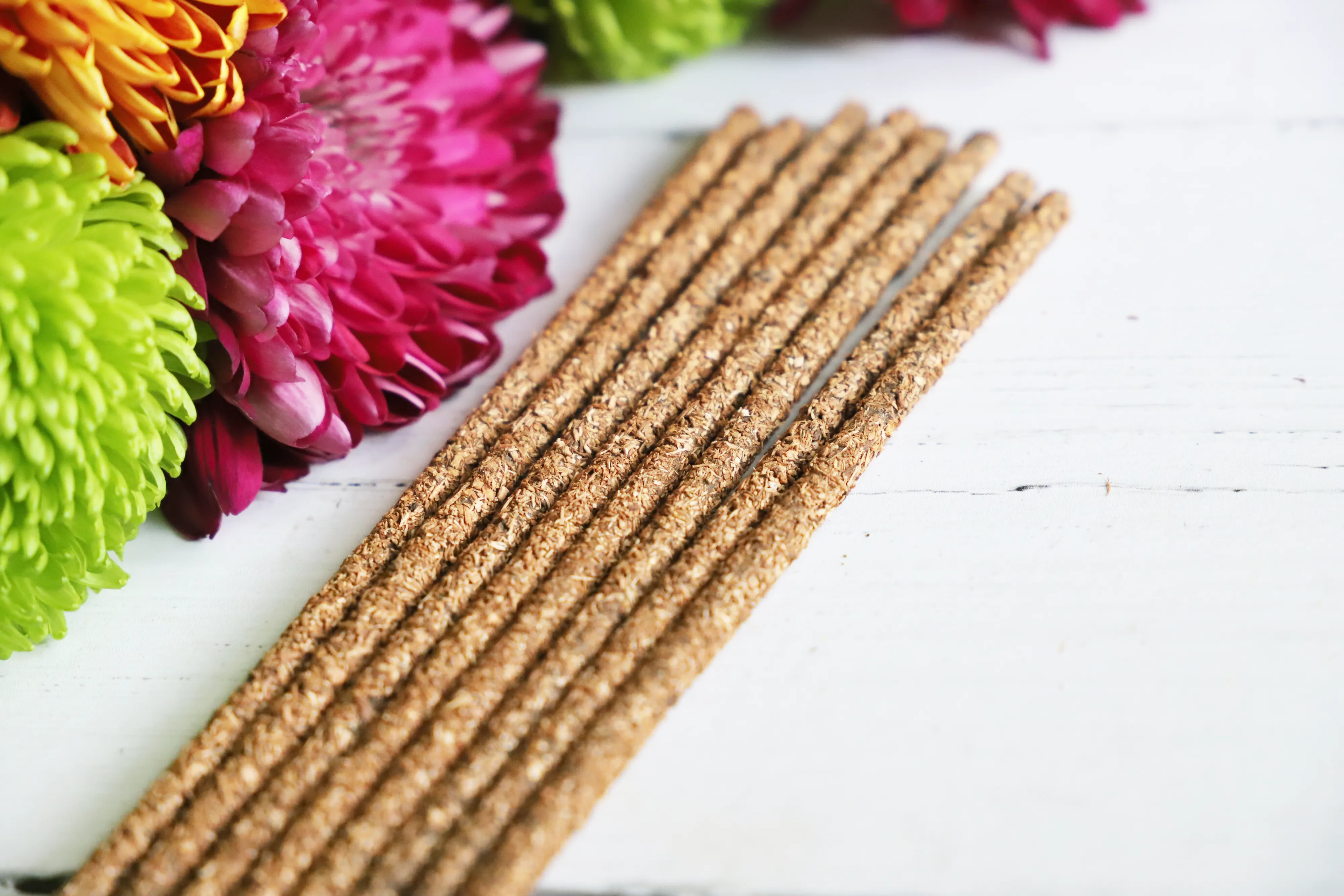 Palo Santo and Desert Sage incense sticks