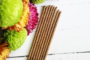 Palo Santo and Desert Sage incense sticks