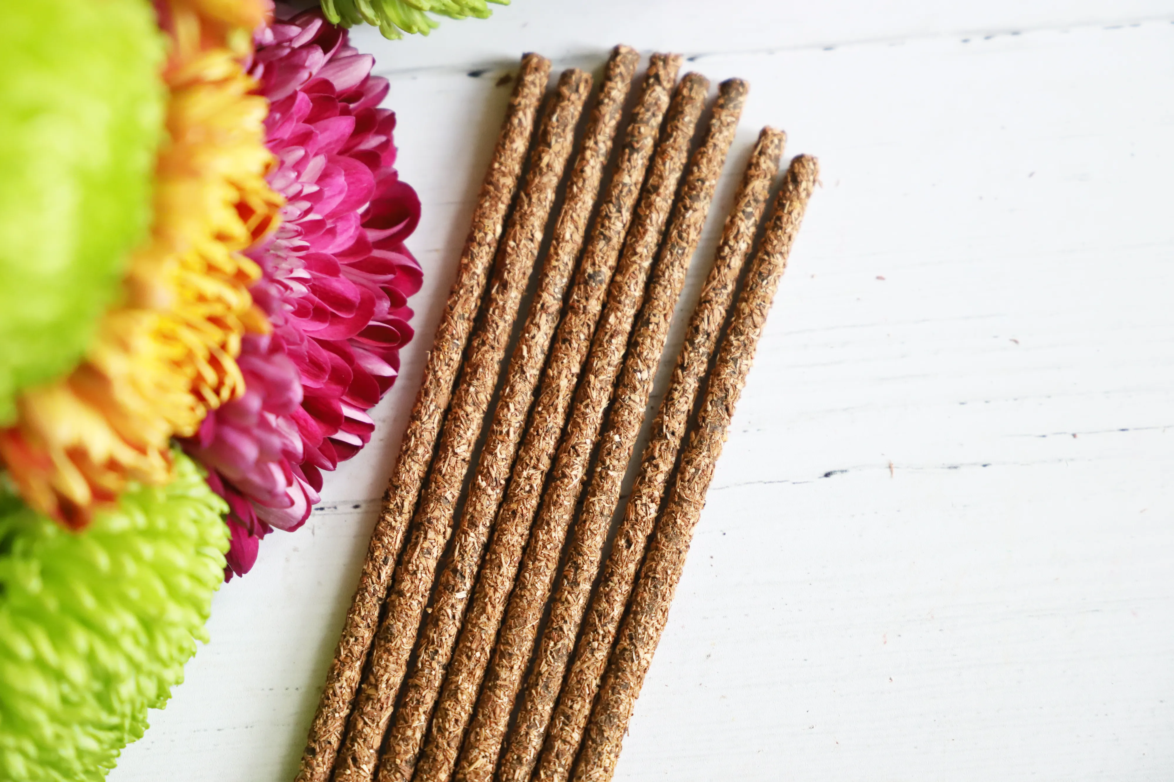 Palo Santo and Desert Sage incense sticks