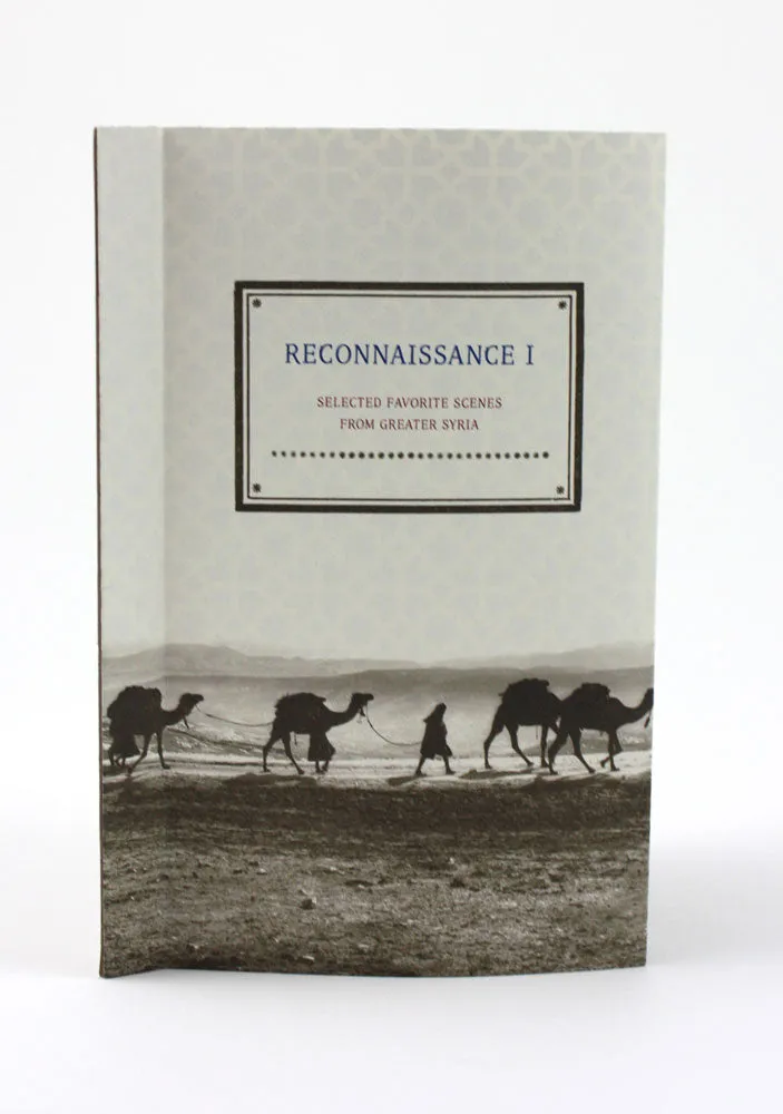 Reconnaissance I: by Elsi Vassdal Ellis