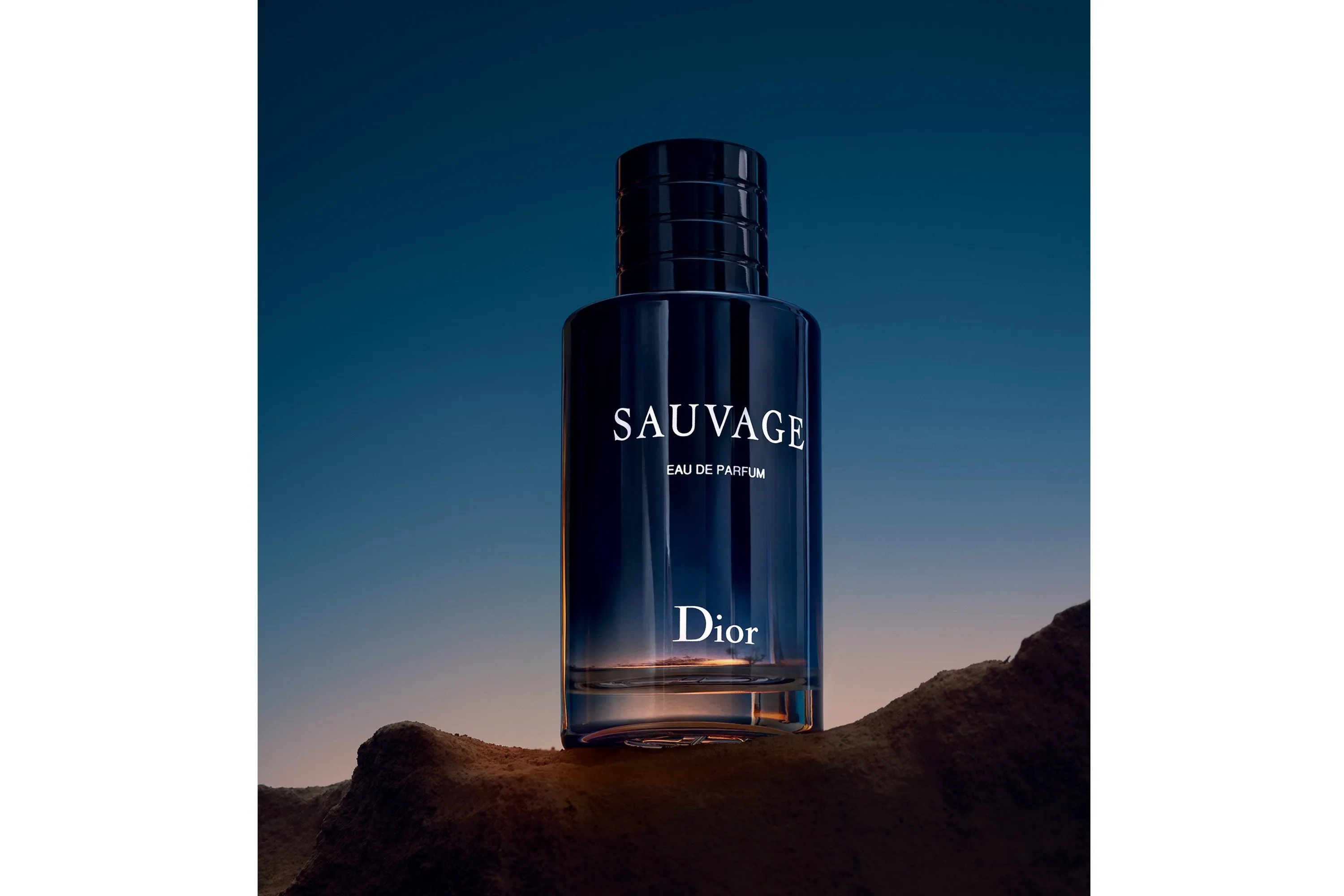 SAUVAGE BY CHRISTIAN DIOR FOR MEN - EAU DE PARFUM, 100ML