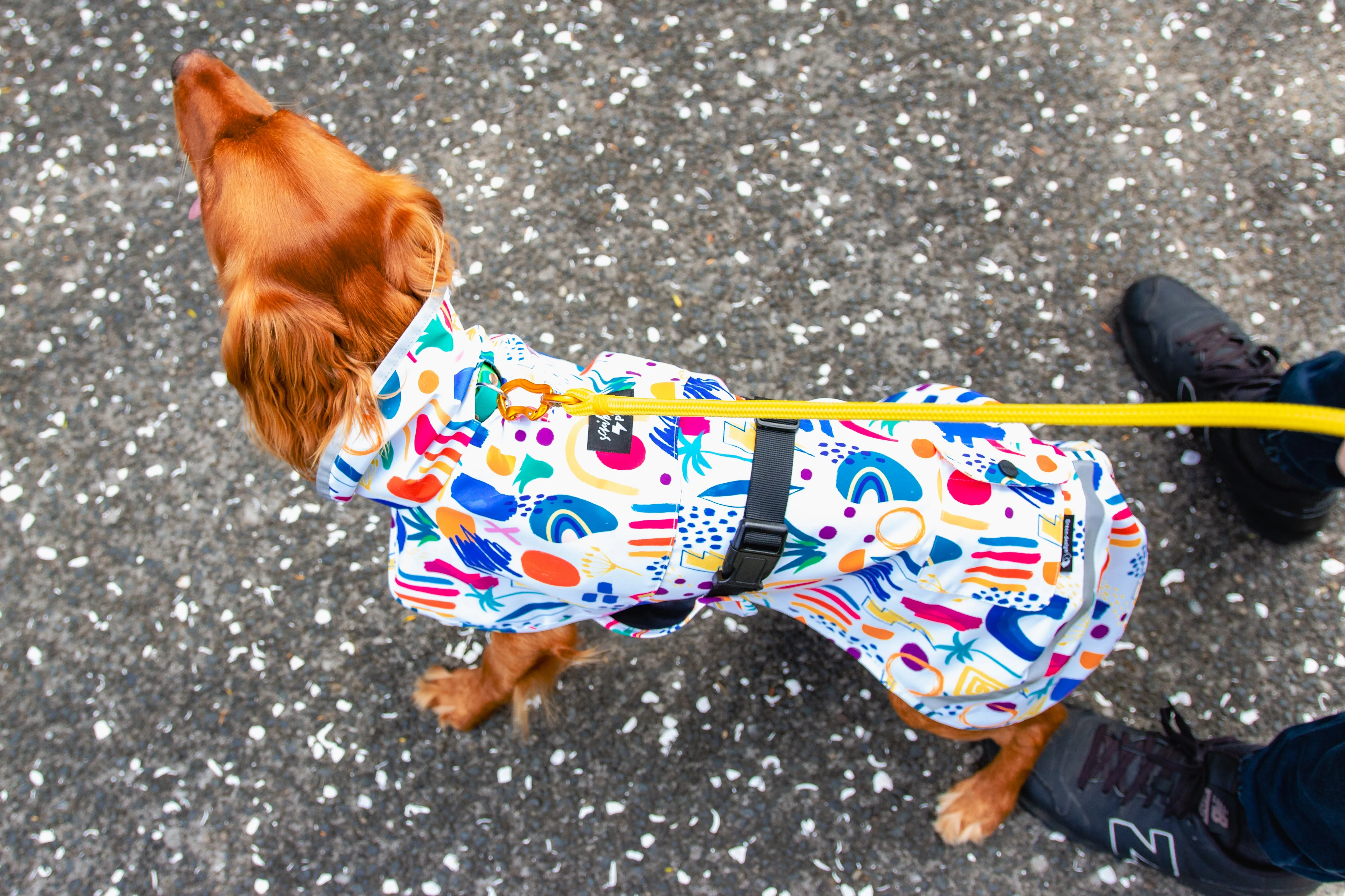Scribbler Pets Abstract waterproof raincoat for dogs