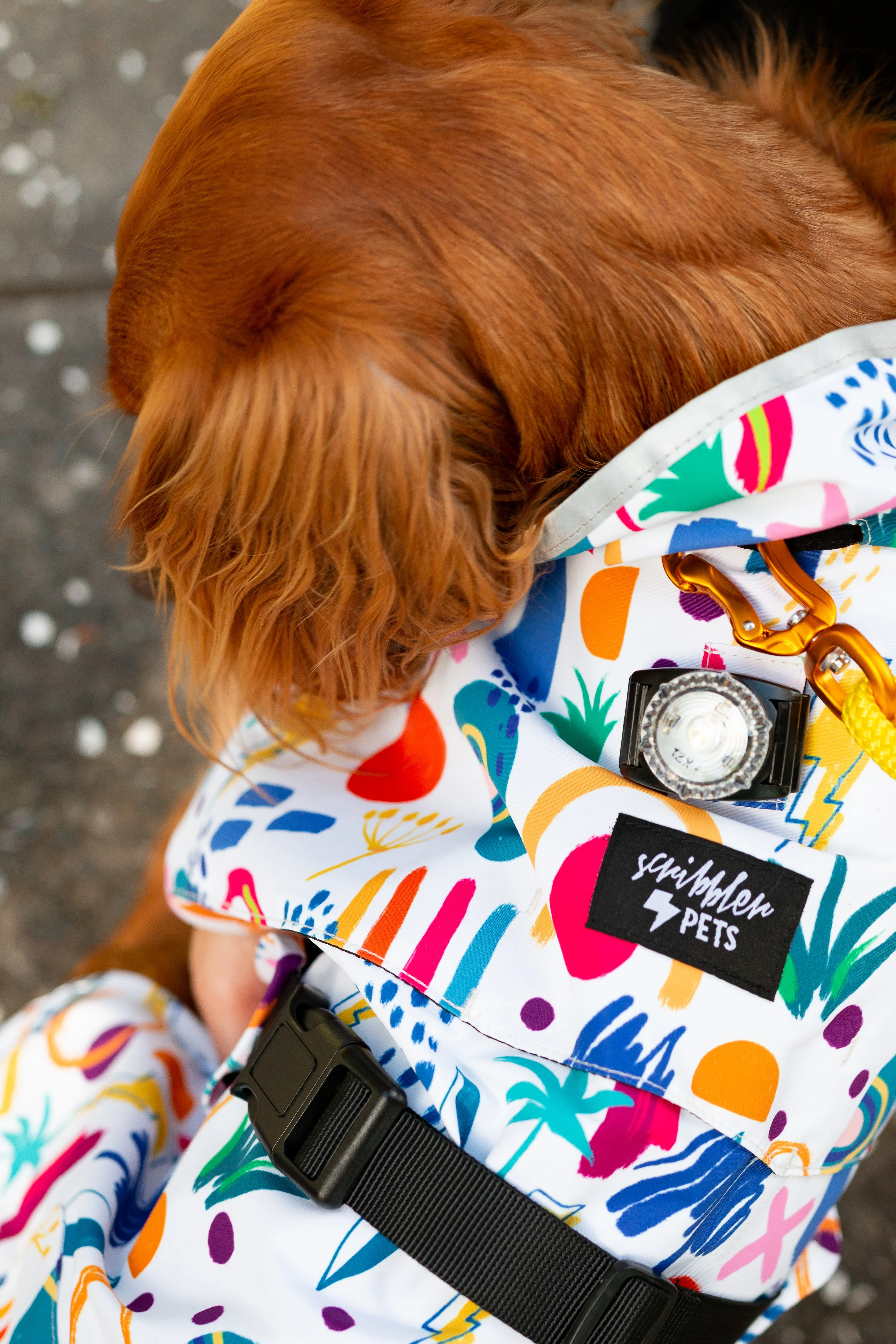 Scribbler Pets Abstract waterproof raincoat for dogs