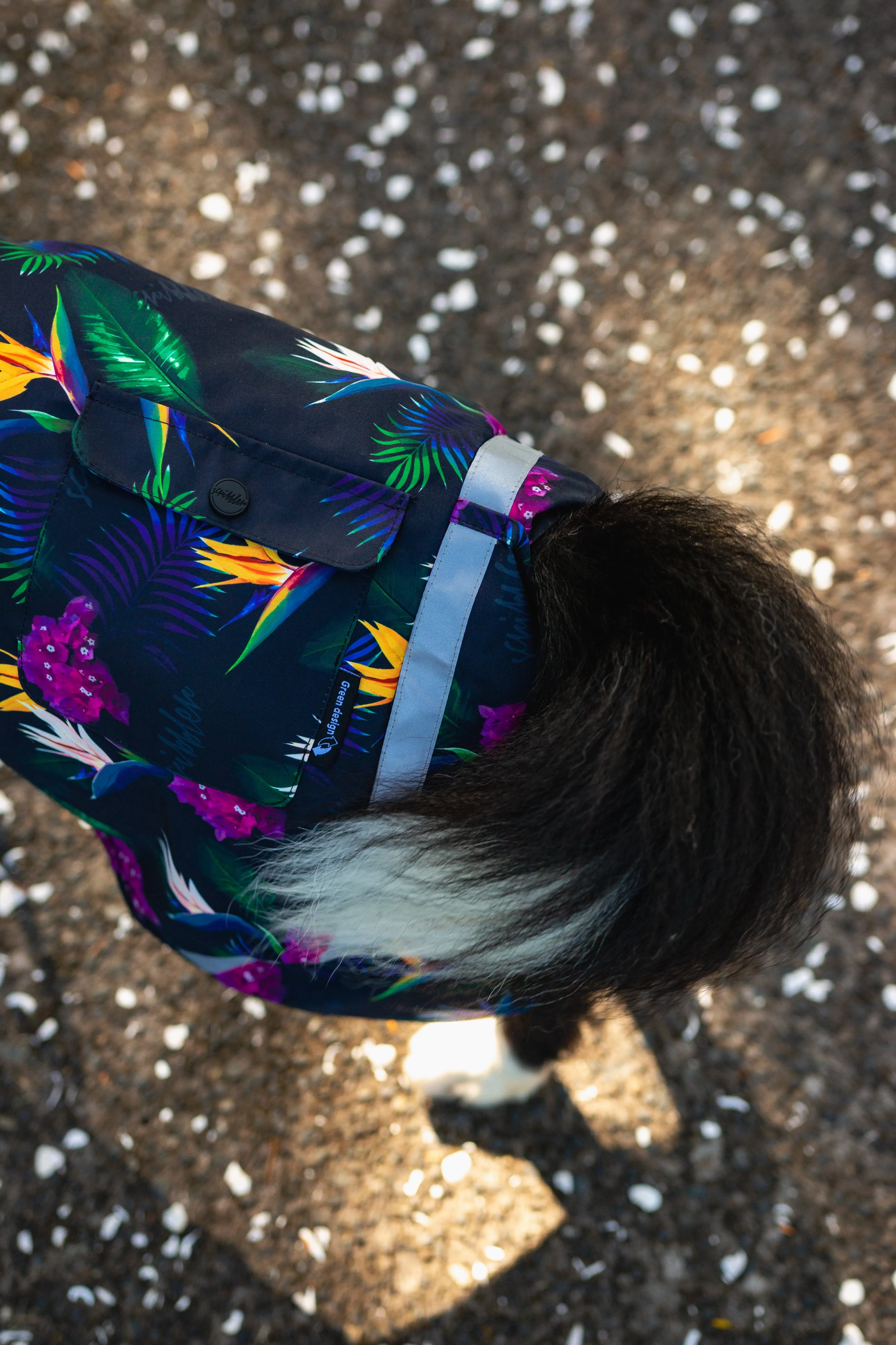 Scribbler Pets Paradiso waterproof raincoat for dogs