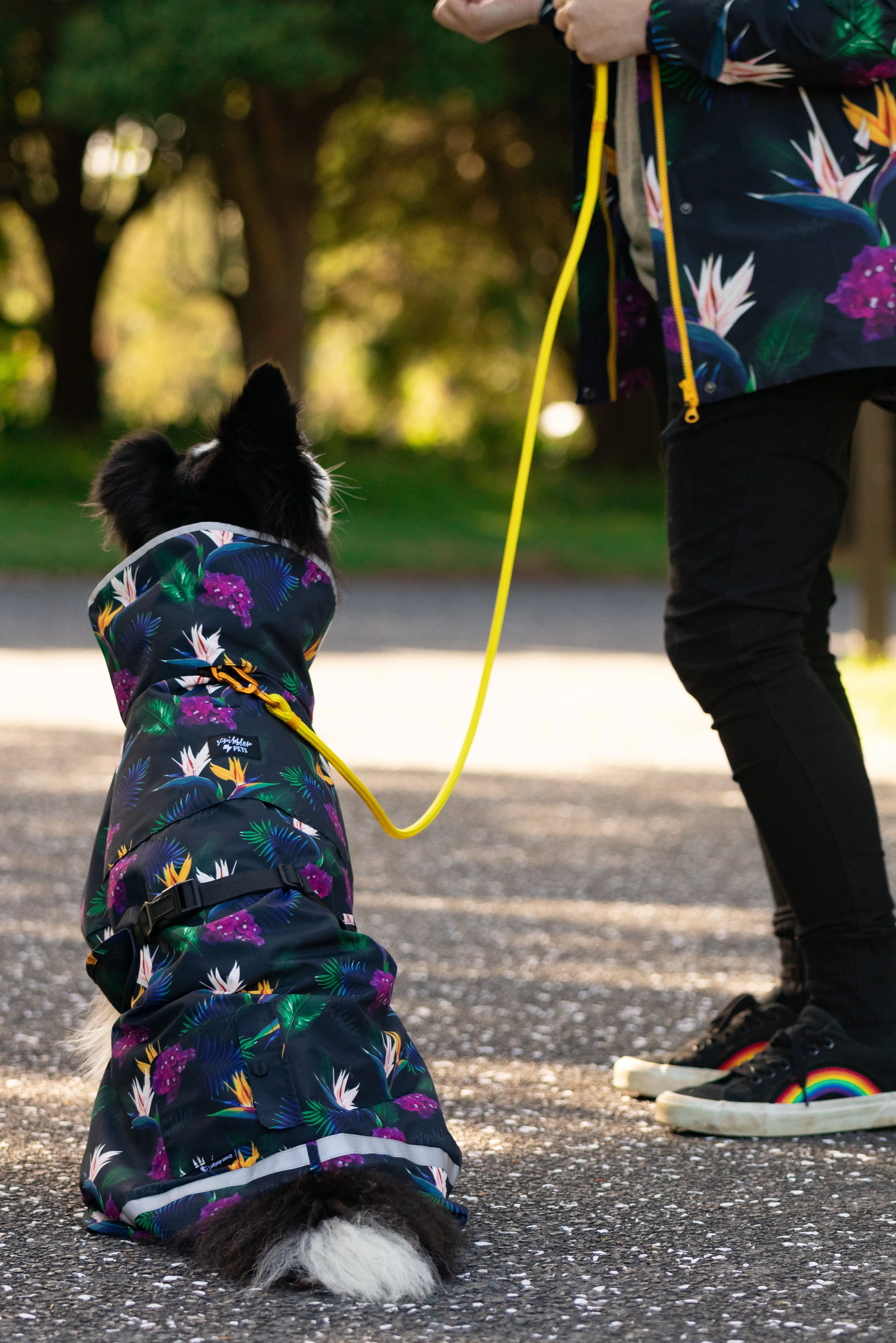 Scribbler Pets Paradiso waterproof raincoat for dogs