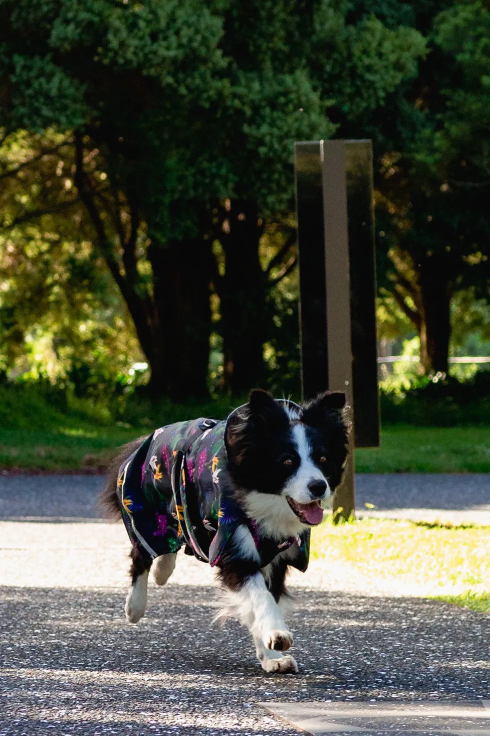 Scribbler Pets Paradiso waterproof raincoat for dogs