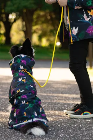 Scribbler Pets Paradiso waterproof raincoat for dogs