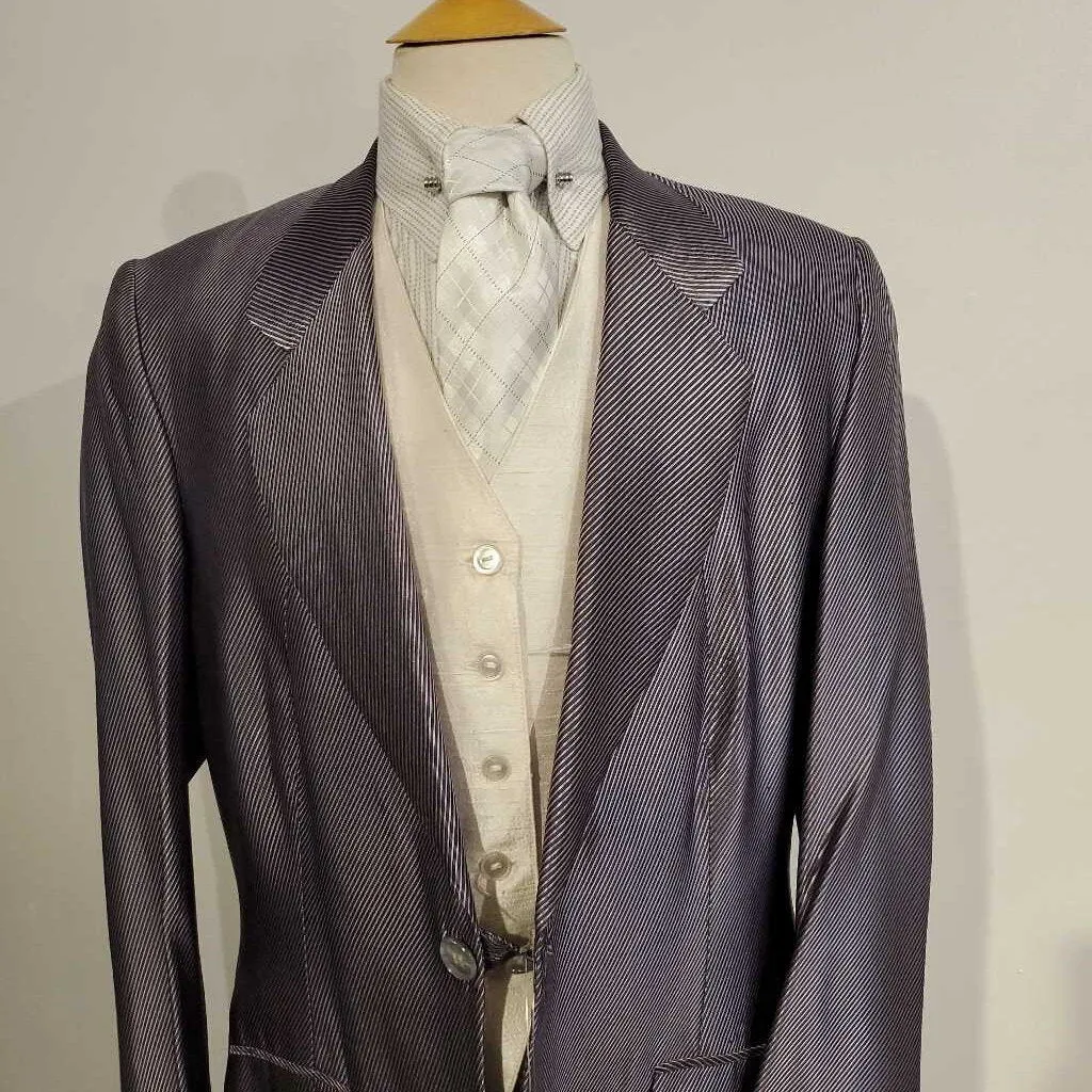 Shiny Purple Striped Daycoat