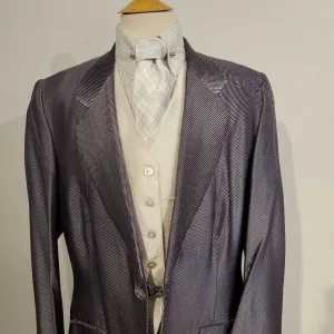 Shiny Purple Striped Daycoat