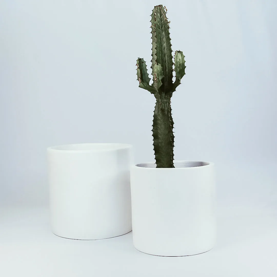 Urban Oasis Anika Pot White 300mm