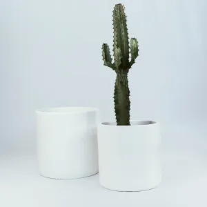 Urban Oasis Anika Pot White 300mm