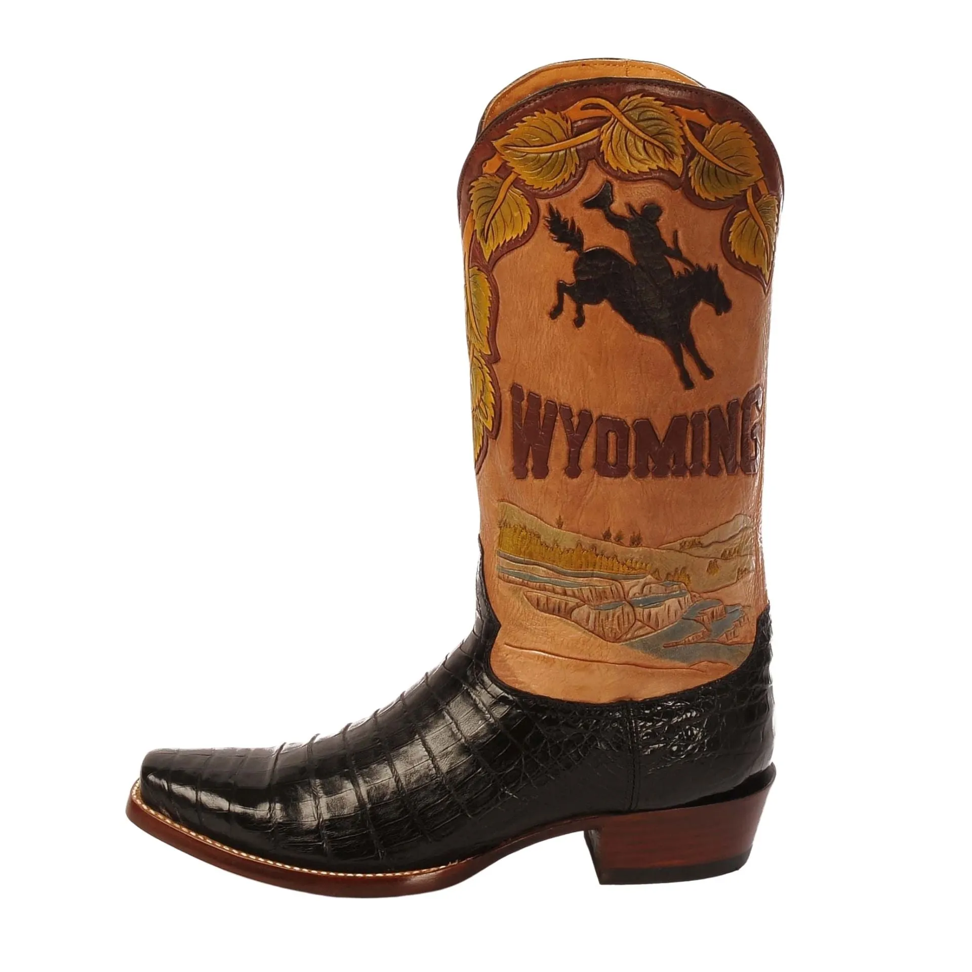 WYOMING STATE