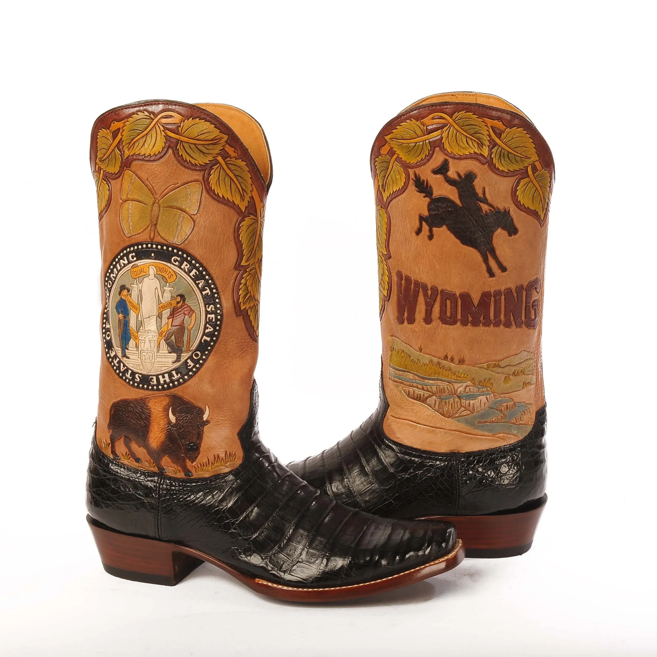 WYOMING STATE